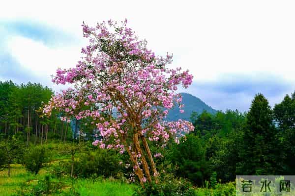 真正的狠人,报复一个人从不动声色,用这3个方法,让他自食其果