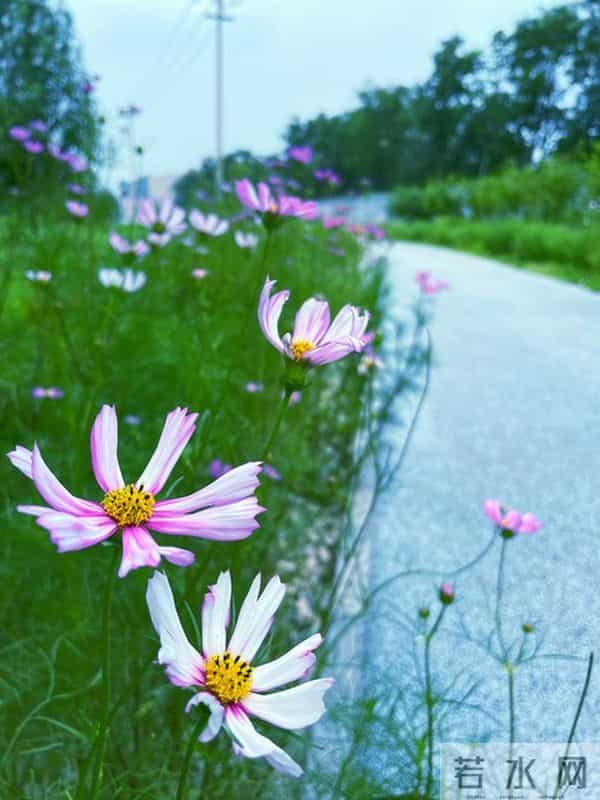 对付小人恶人,最好的方式不是硬碰硬,而是做好这3点