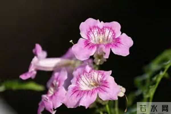 女人好不好撩，微信上发“三个字”试探一下，心里就有数了