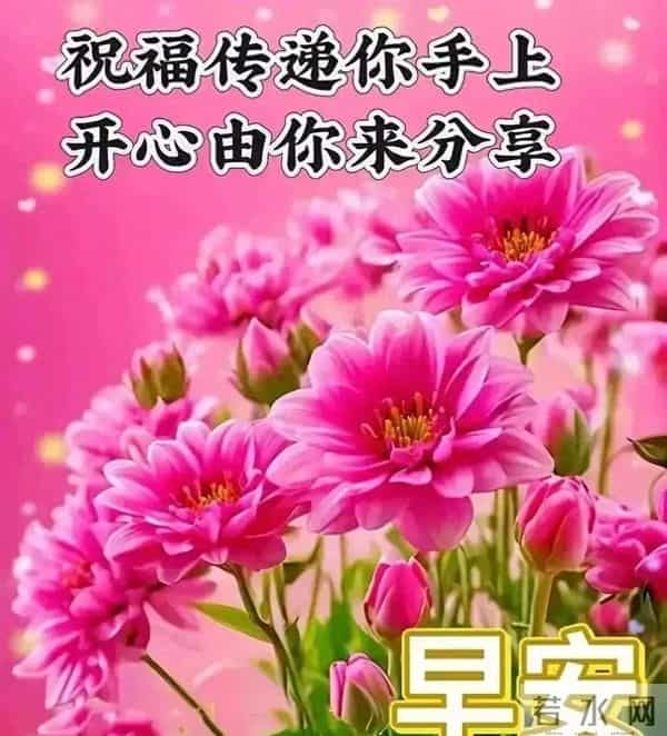 新的一天,新的开始!一句早安,温暖心房;一份祝福,伴你身旁。