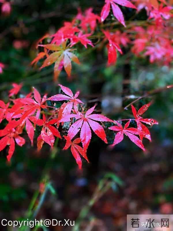 人老了,最嫌弃你的人是谁?主要有三人,看完你就明白了