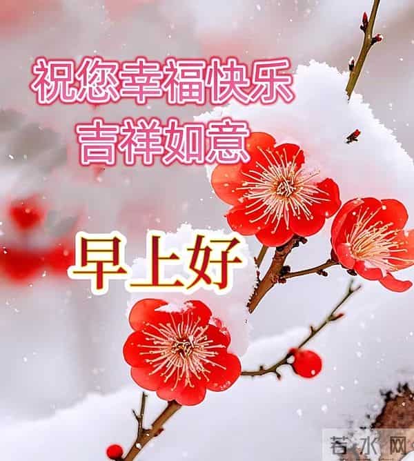 2025年11月27日早上好 周四祝福问候语 早安精美图片 今日喜乐无忧