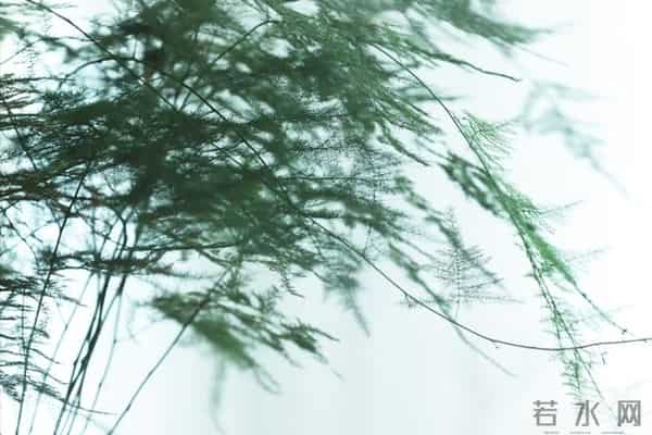 人活着总要洒脱一些,别总是陷在无用的内耗里