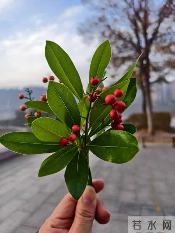 心语 生活啊,就是三餐四季的平凡与温暖