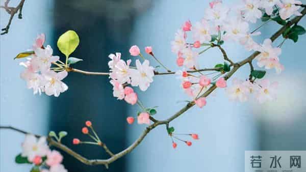 76岁老人坦言：人老了根本不需要养老！每天找些事做晚年不靠子女