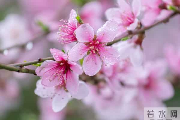 男女关系铁律:“对方不爱你的原因,只有这一个”