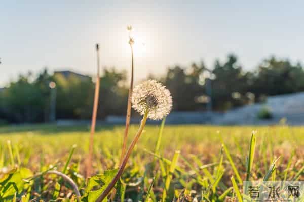 真正聪明的人，已经悄悄退出了这3种社交圈！