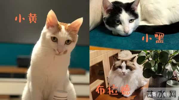 退休后,每天六件普通小事,让我快乐又充实