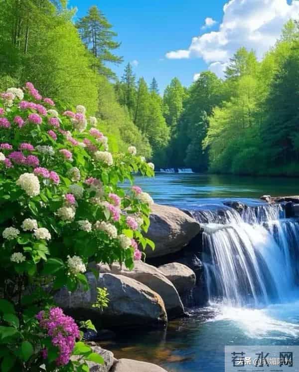 心宽则路宽,心静则福来:3个维度,养出通透自在的人生