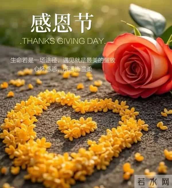 「2025-11-27」 10句简短、优雅且高端的感恩节祝福语，感恩节图片