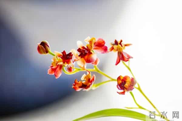 真正的狠人,报复一个人从不动声色,用这3个方法,让他自食其果