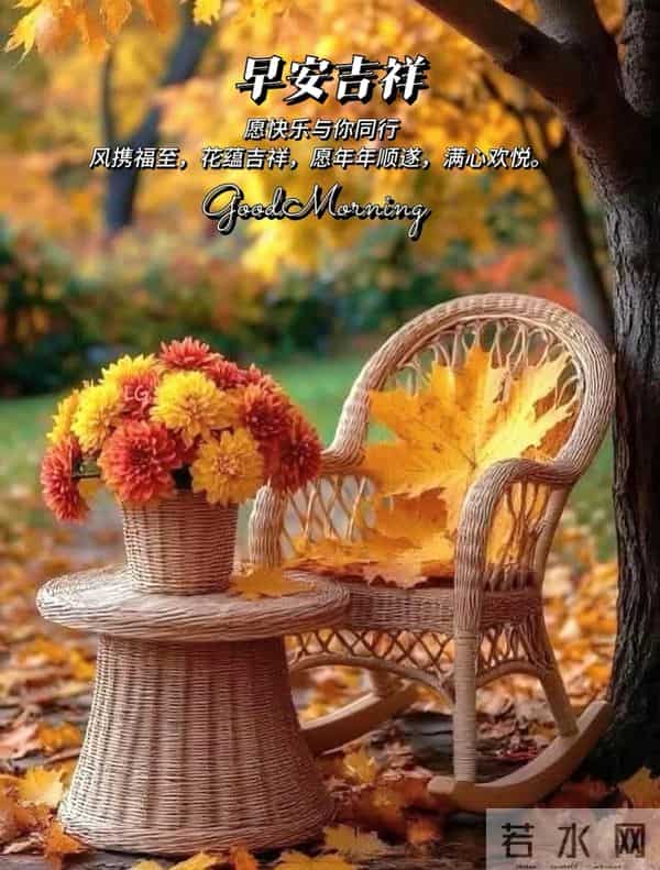 11月27日早上好 早上好清新淡雅图片 早安问候图片最新今天