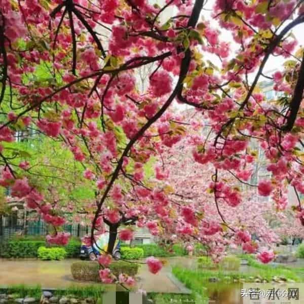 如果你已经六十岁了,每天还胡思乱想活在焦虑里,看看下面文字