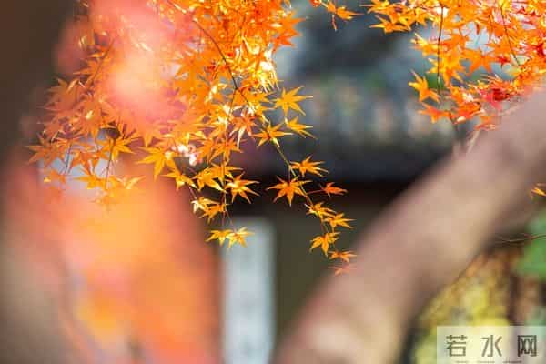 情感铁律:生理性喜欢,一辈子不会超过2次