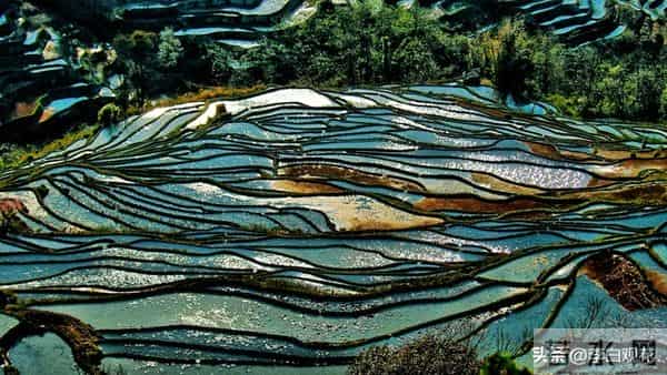 五十岁最幸福的活法，就八个字