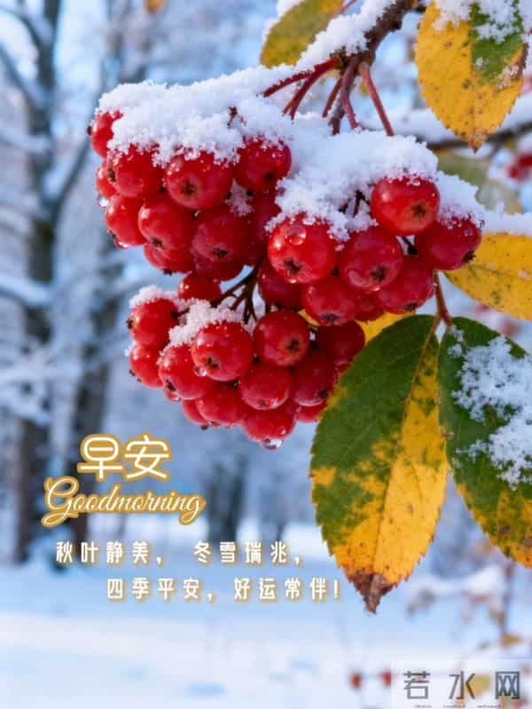 知恩于心,感念于行,常怀感恩,以心汇暖,让感恩铺满初冬的晨光