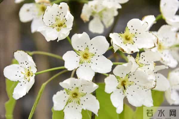 “不需要对方好看”:生理性喜欢的魔力有多可怕!