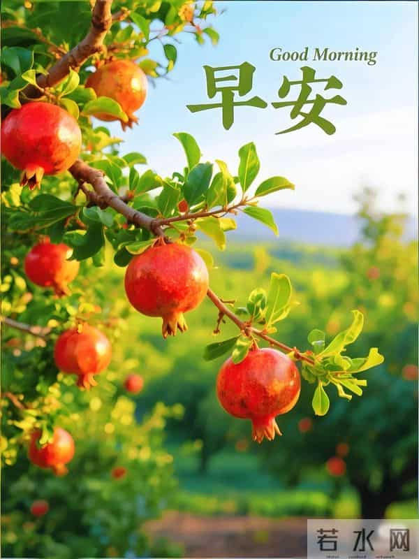 早上好早安祝福美图-岁月无恙，今冬安祥