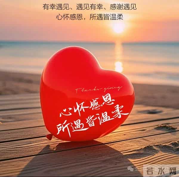 感恩到心,感谢有你,感恩如花开,岁月皆温柔