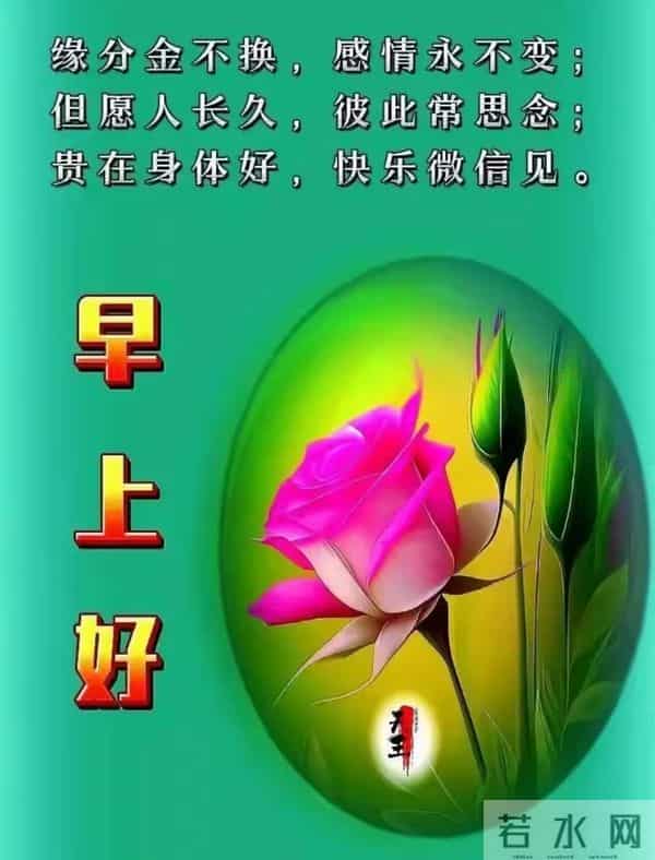 晨光亮，花果香，早安安