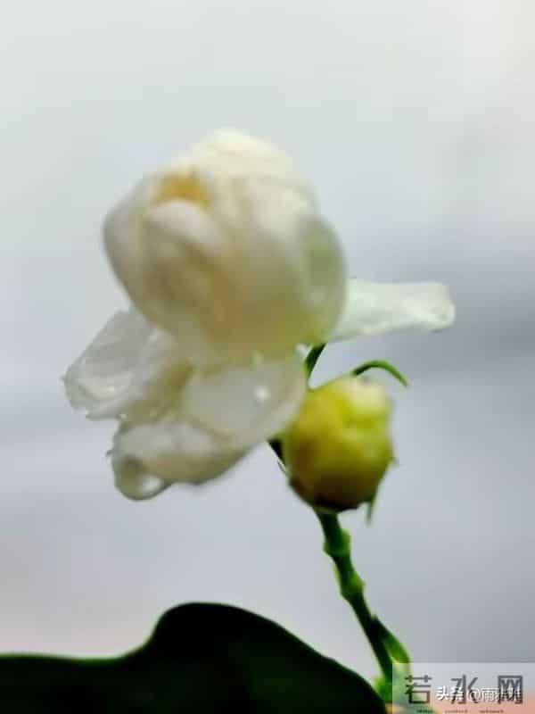 老天爷在帮你,贵人在助你,再不开门迎接就晚了