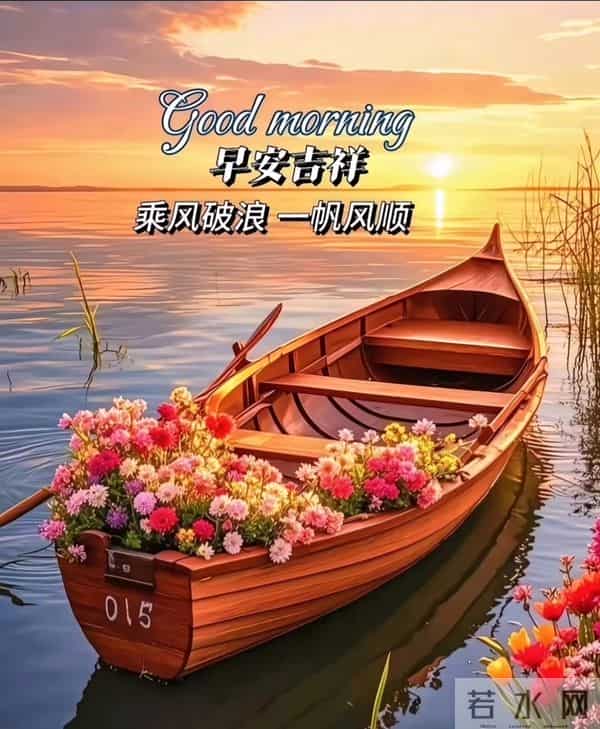 知恩于心,感念于行,常怀感恩,以心汇暖,让感恩铺满初冬的晨光