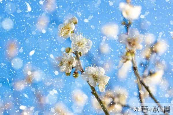 中年女人若有这3种“气味”，最勾男人魂，第三种最致命