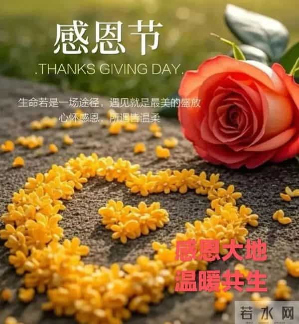 2025感恩节祝福图片 感恩节暖心文案 只想对你说一句 感恩有你 早上好