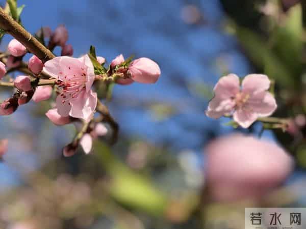 真正的狠人,报复一个人从不动声色,用这3个方法,让他自食其果