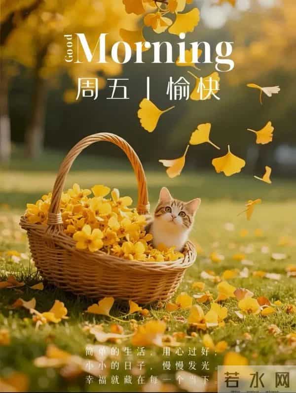 9张特漂亮大家早上好图片,万事如意,吉祥安康!