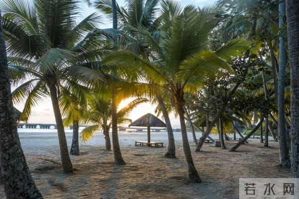 人老了才发现,想要跟子女关系融洽,聪明的老人都会这样做!