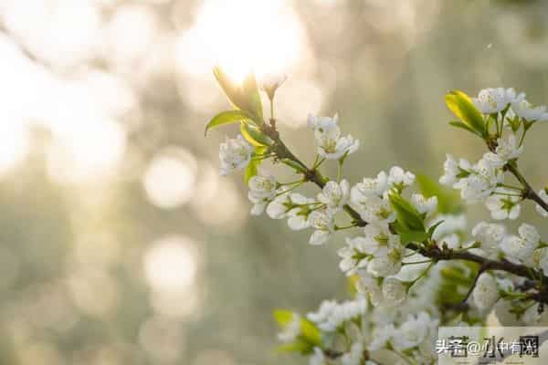 两性关系：60多岁阿姨直言：女人找老伴，最想要的是这点