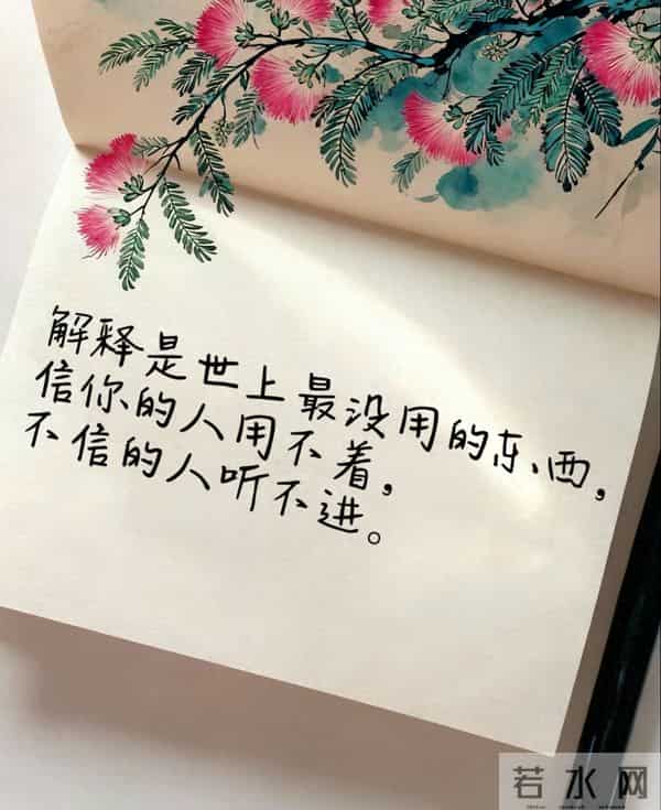 解释,是世上最没用的东西,信你的人用不着,不信你的人听不进~