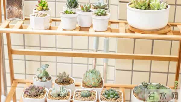 55岁忽然想明白:有3500退休金和30万存款,真没必要还拼命存钱了