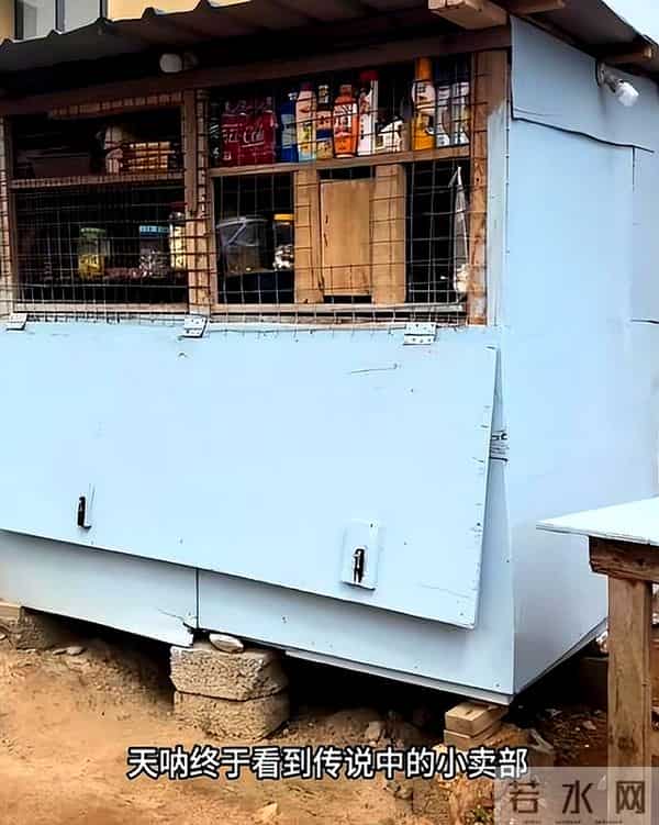 浙江女子嫁黑人老公，5年后第一次去非洲婆家被吓坏：再也不来了