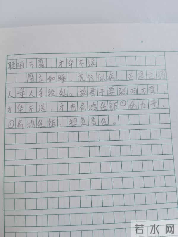 抄书打卡-《菜根谭》聪明不露 才华不逞