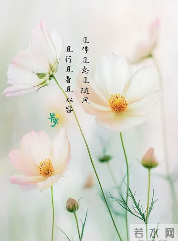 早安祈愿：如常为喜，如愿为安