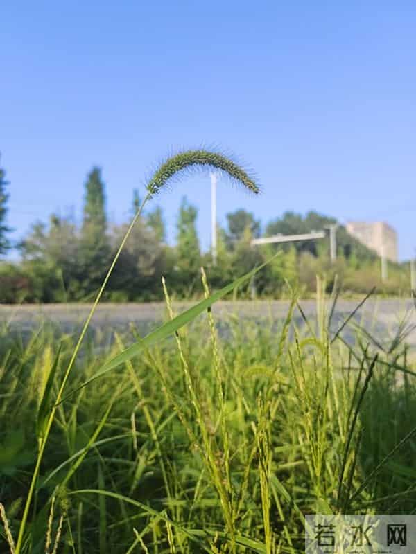 对付小人恶人,最好的方式不是硬碰硬,而是做好这3点