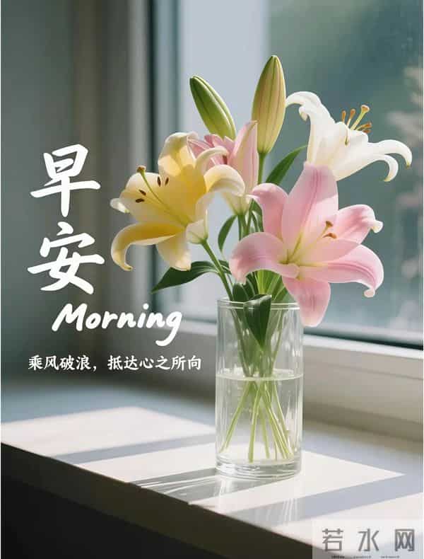 11月27日早上好 早上好清新淡雅图片 早安问候图片最新今天