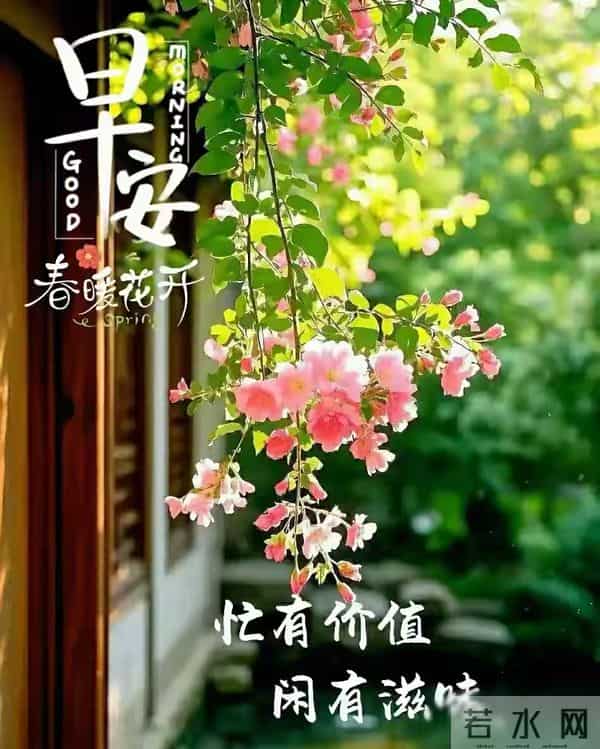 早上最新经典问候图（145）