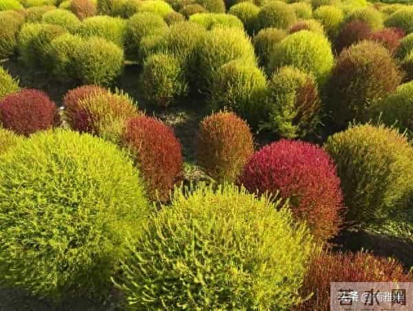 老天爷在帮你,贵人在助你,再不开门迎接就晚了