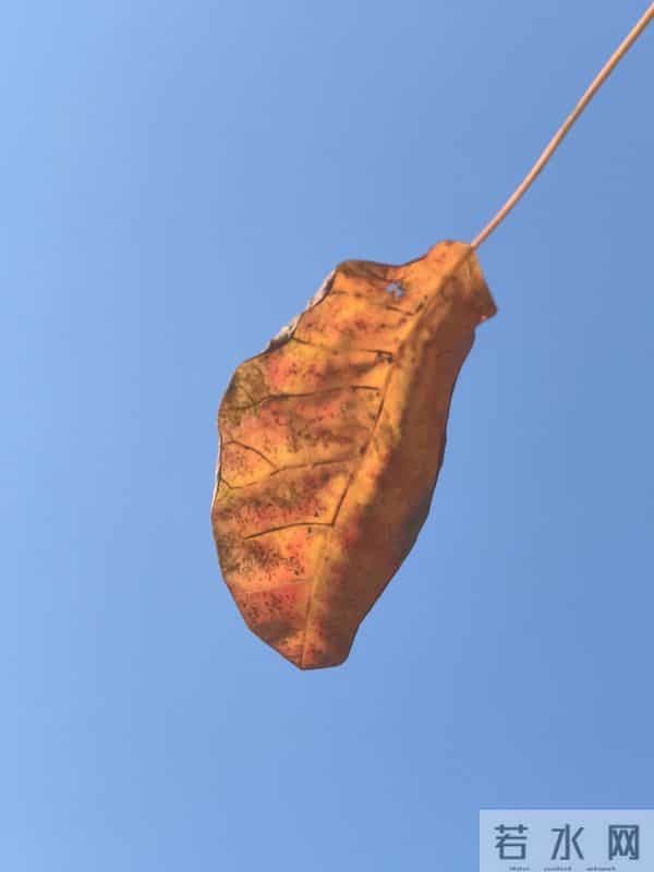 散文-世间所有的遇见,都值得感恩。好是恩情,坏是提醒