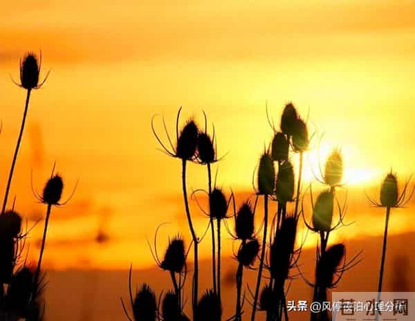 枕边人有外心后,只要原配清醒,背叛者的结局就这两种