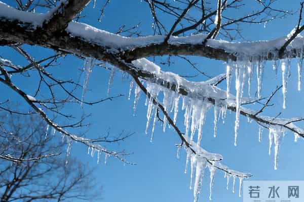 十月一，送寒衣：致我亲爱的爷爷奶奶。