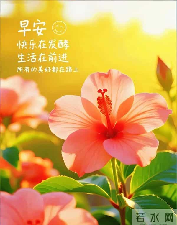 新的一天,新的开始!一句早安,温暖心房;一份祝福,伴你身旁。