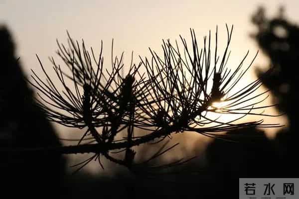 一辈子都写不出的金句，我为你整理了32句