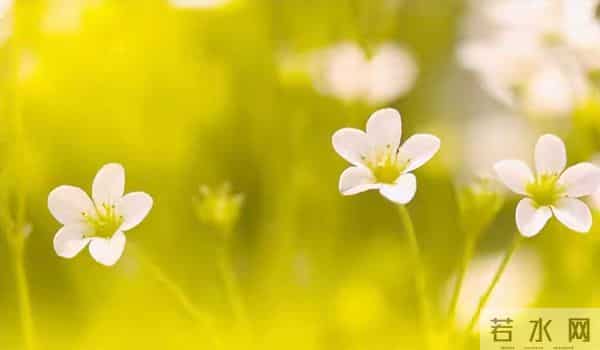 我嫁到日本才发现,女性活得真憋屈,体毛不能有,放屁也不自由