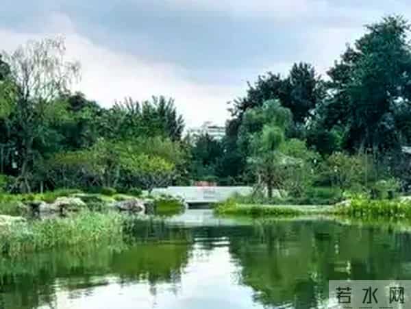 退休两年，才明白：余生除了存钱，锻炼，最好就是销声敛迹