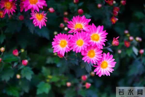 人生醒悟，世上本无事，庸人自扰之！