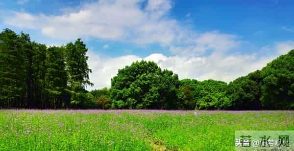 女人愿不愿意让你“泡”，看她是否拒绝这三件事，没拒绝就有戏